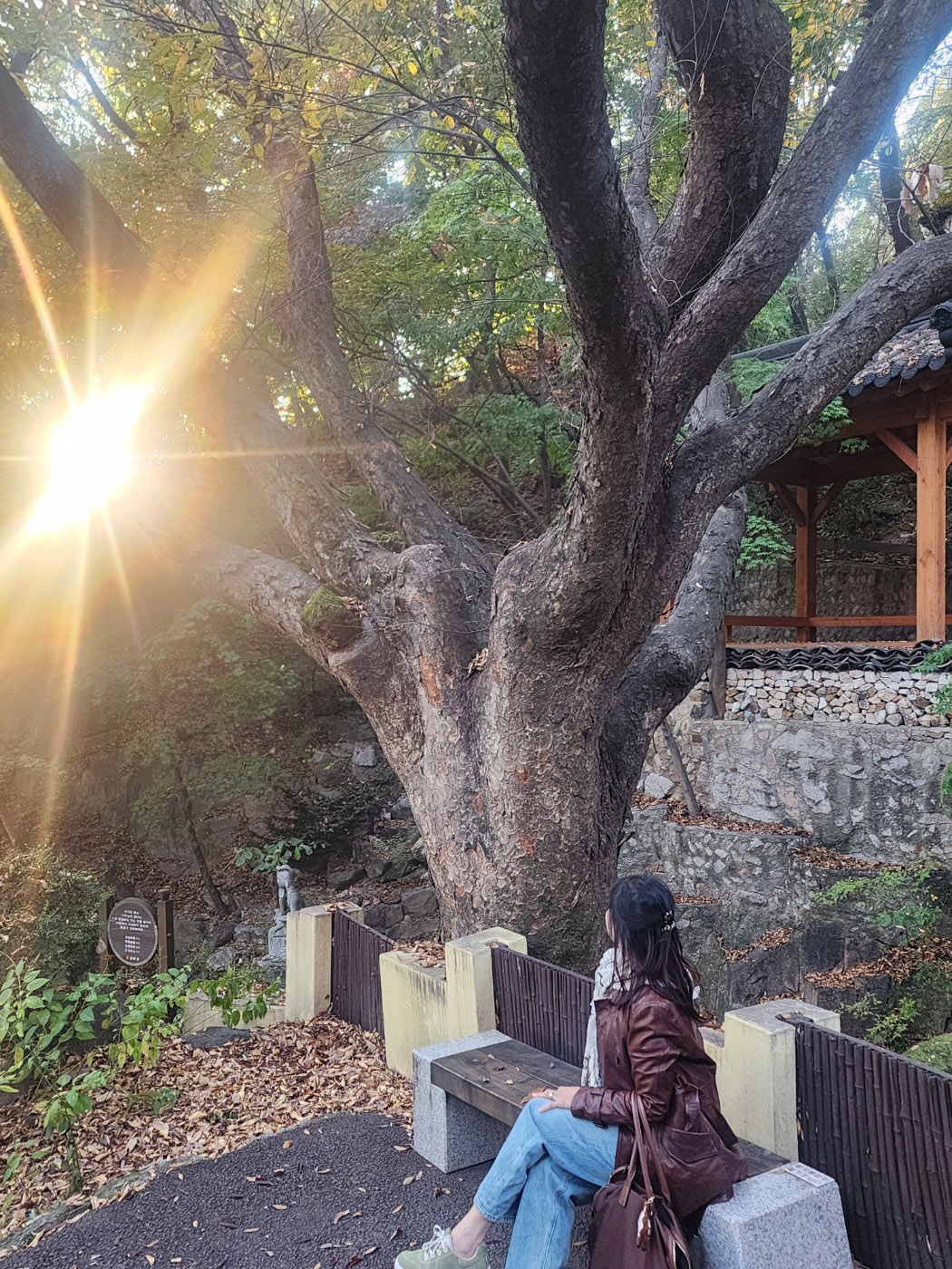 서울 단풍 명소 길상사