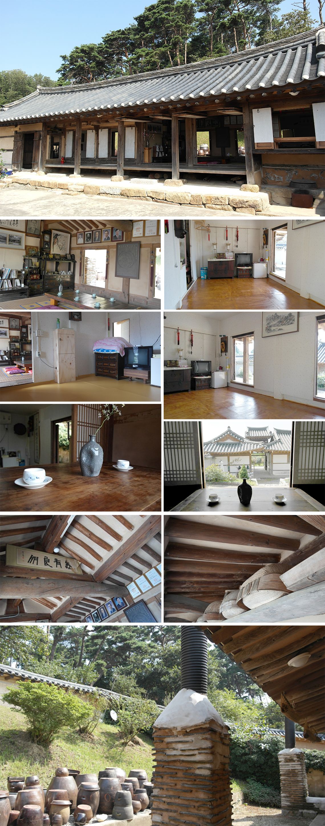 서산 유기방가옥 수선화 축제 기간 개화 총정리