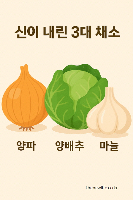 Vegetables for reducing abdominal fat – onion, cabbage, garlic/복부비만에 좋은 채소 – 양파, 양배추, 마늘