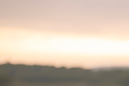 대선 투표 시간 장소