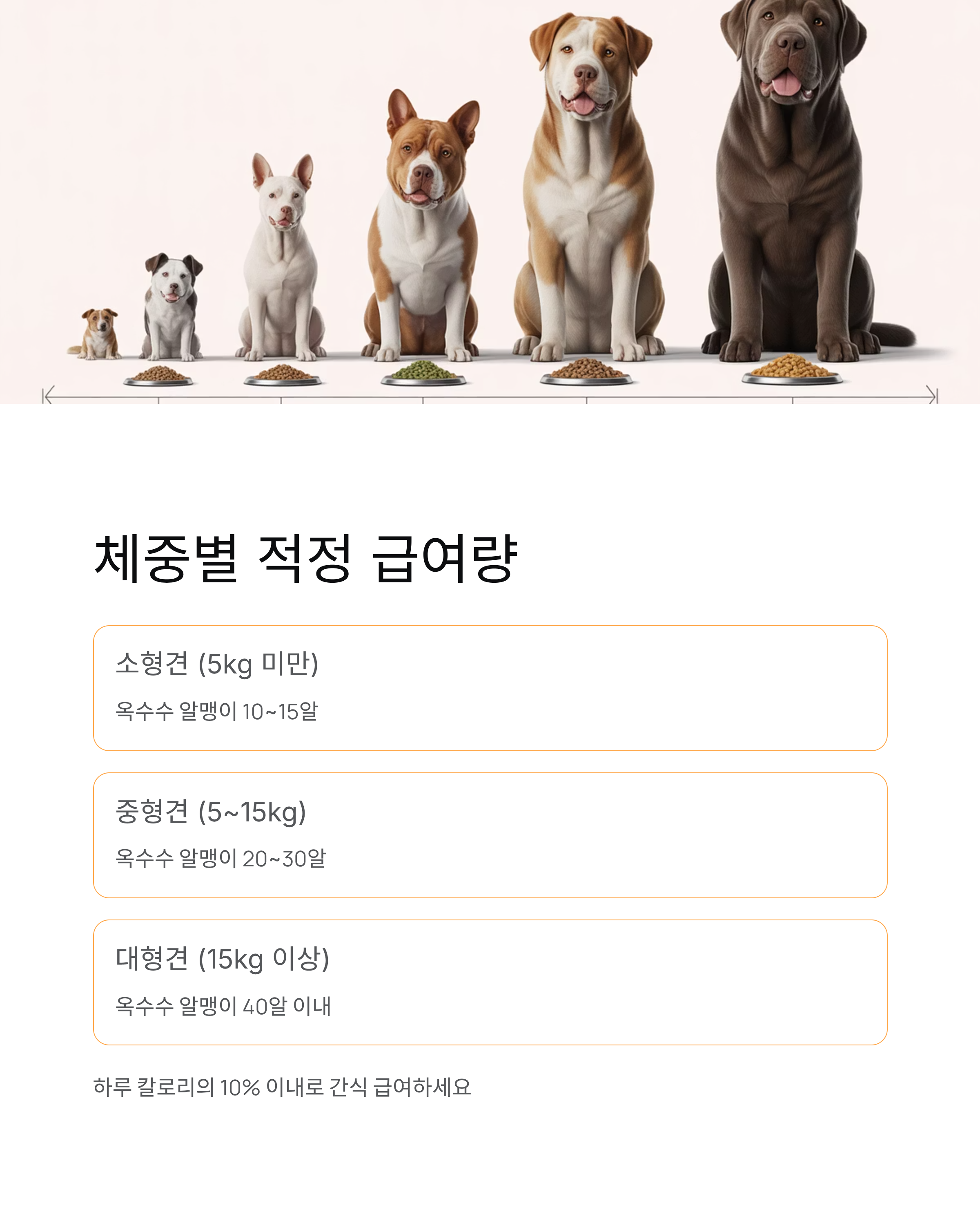 강아지 옥수수 급여해도 될까? 심지는 절대 안 되는 이유