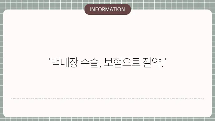 백내장 건강보험 적용 항목