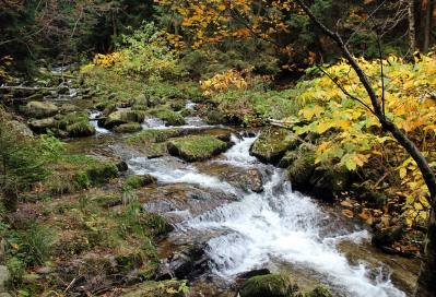 백색 소음의 수면 개선 효과: 뇌파 분석 결과