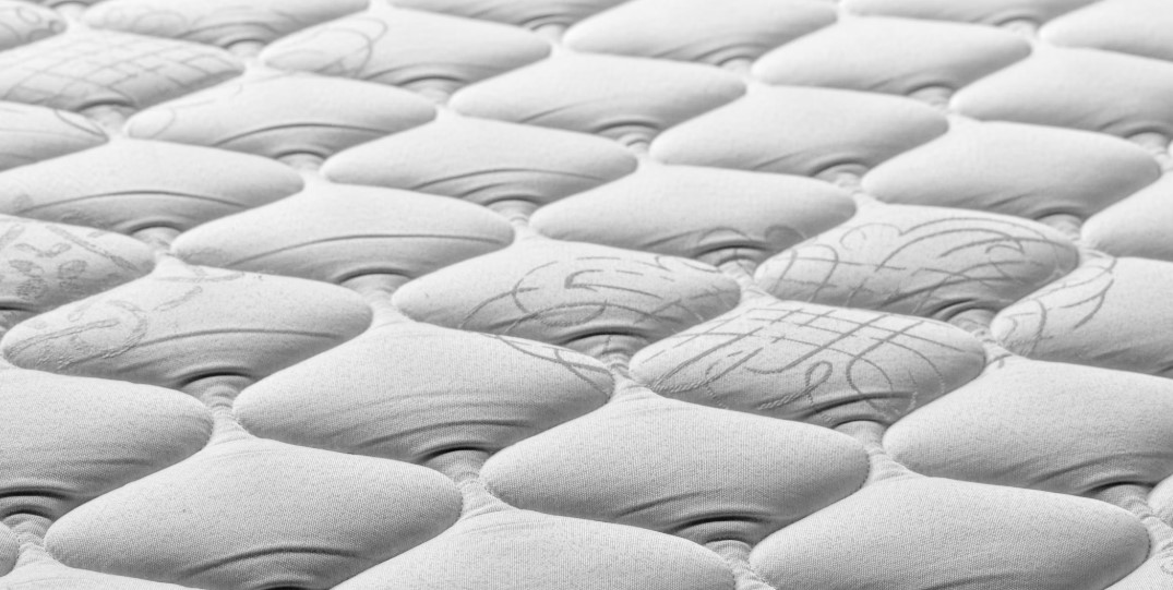 반려인 집사의 매트리스 청결 관련 사진