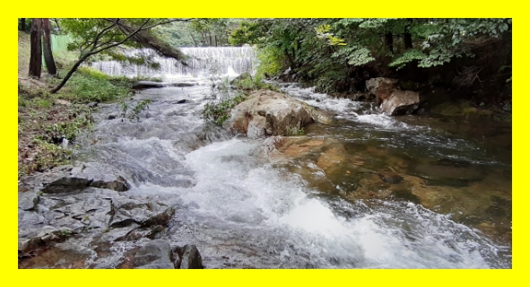 산림청 여름 프로그램&amp;#44; 국립휴양림 가족형 객실&amp;#44; 국립휴양림 성수기 휴가&amp;#44; 국립휴양림 추첨비율&amp;#44; 국립자연휴양림 당첨자결제&amp;#44; 국립자연휴양림 잔여객실오픈