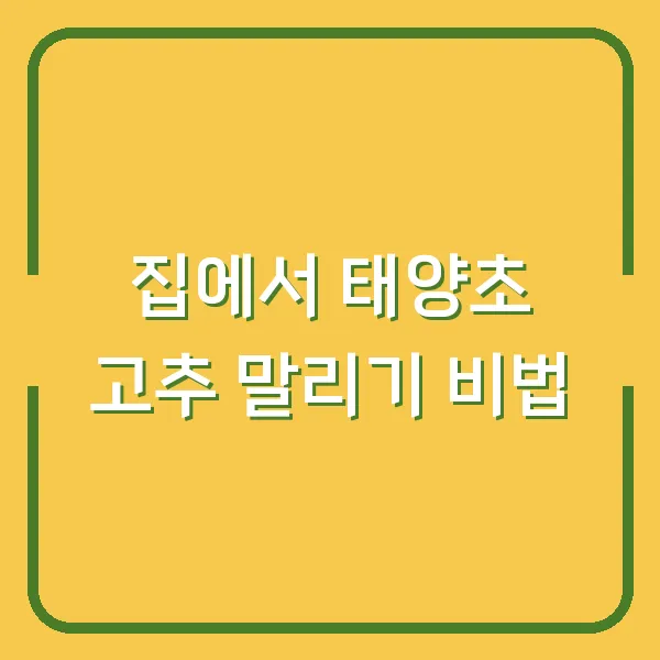 집에서 태양초 고추 말리기 비법