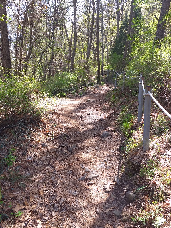 등산 칼로리