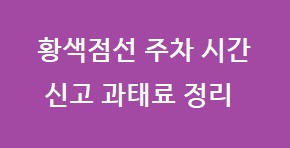 황색점선 주차 시간