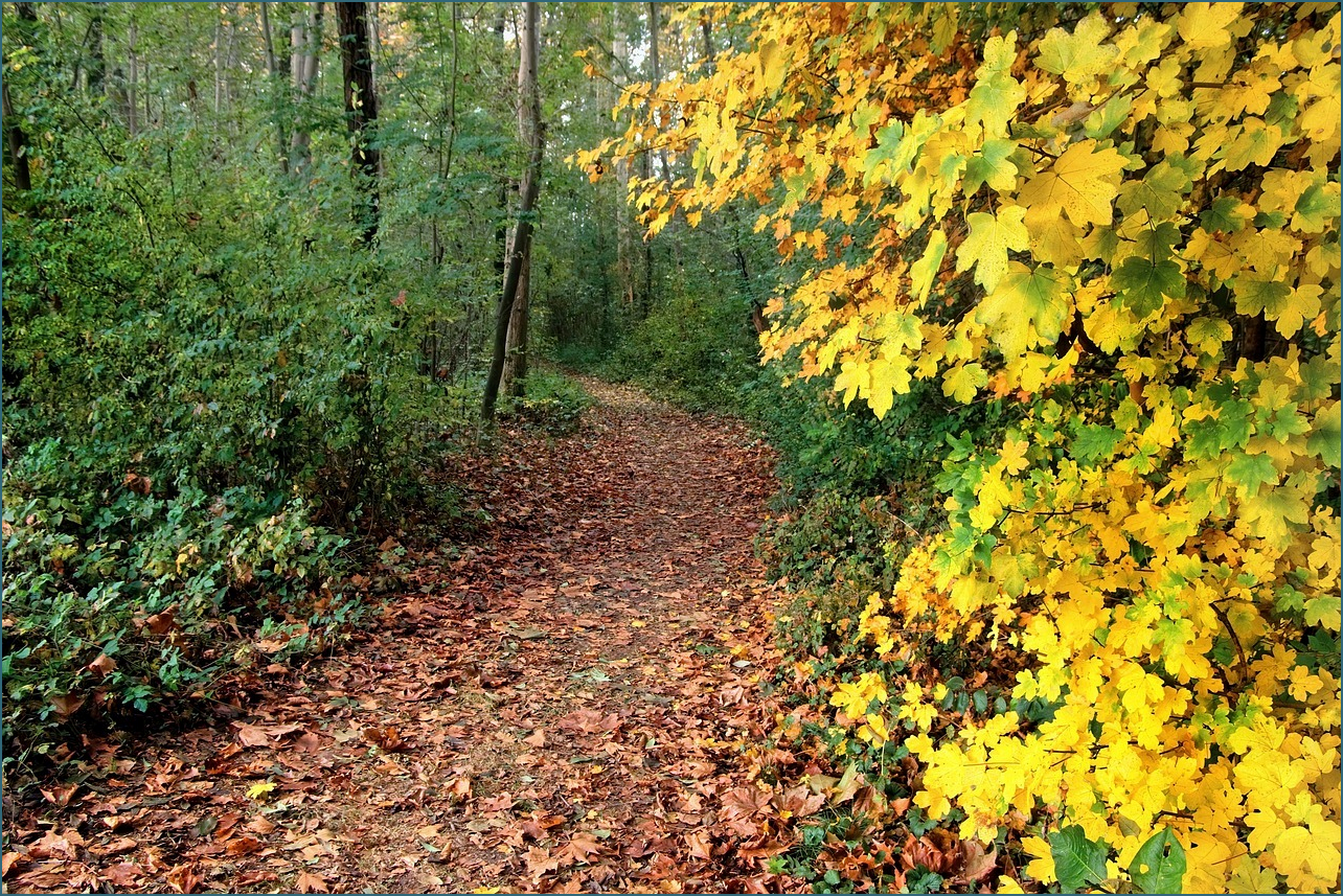 타자연습 바로가기