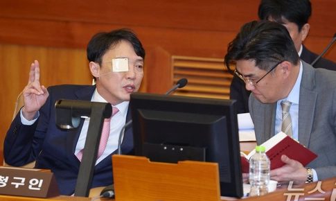 이정섭 검사 탄핵 심판 처남댁 변론 근황