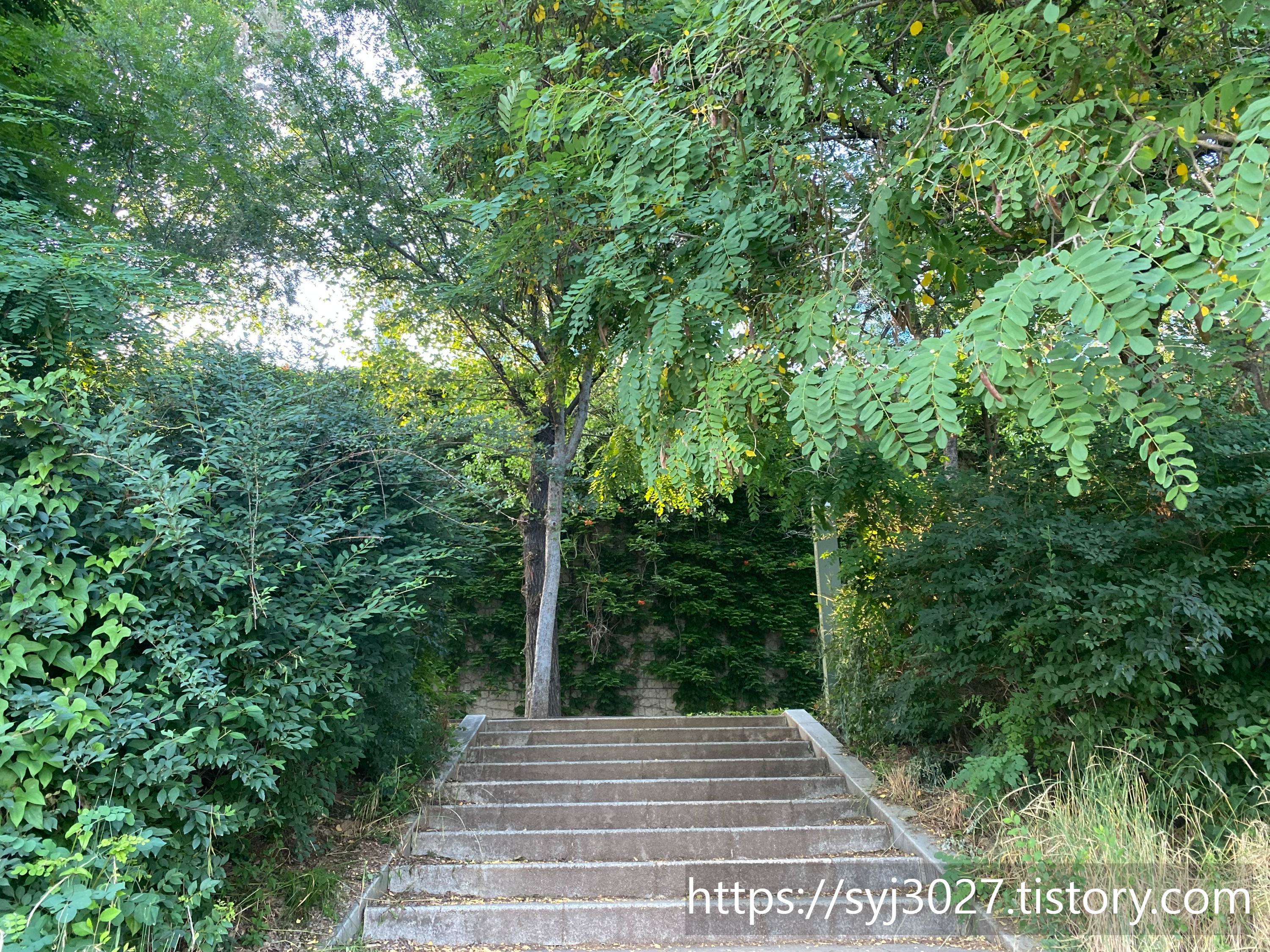 Alt 속성 문제 해결 설명 이미지