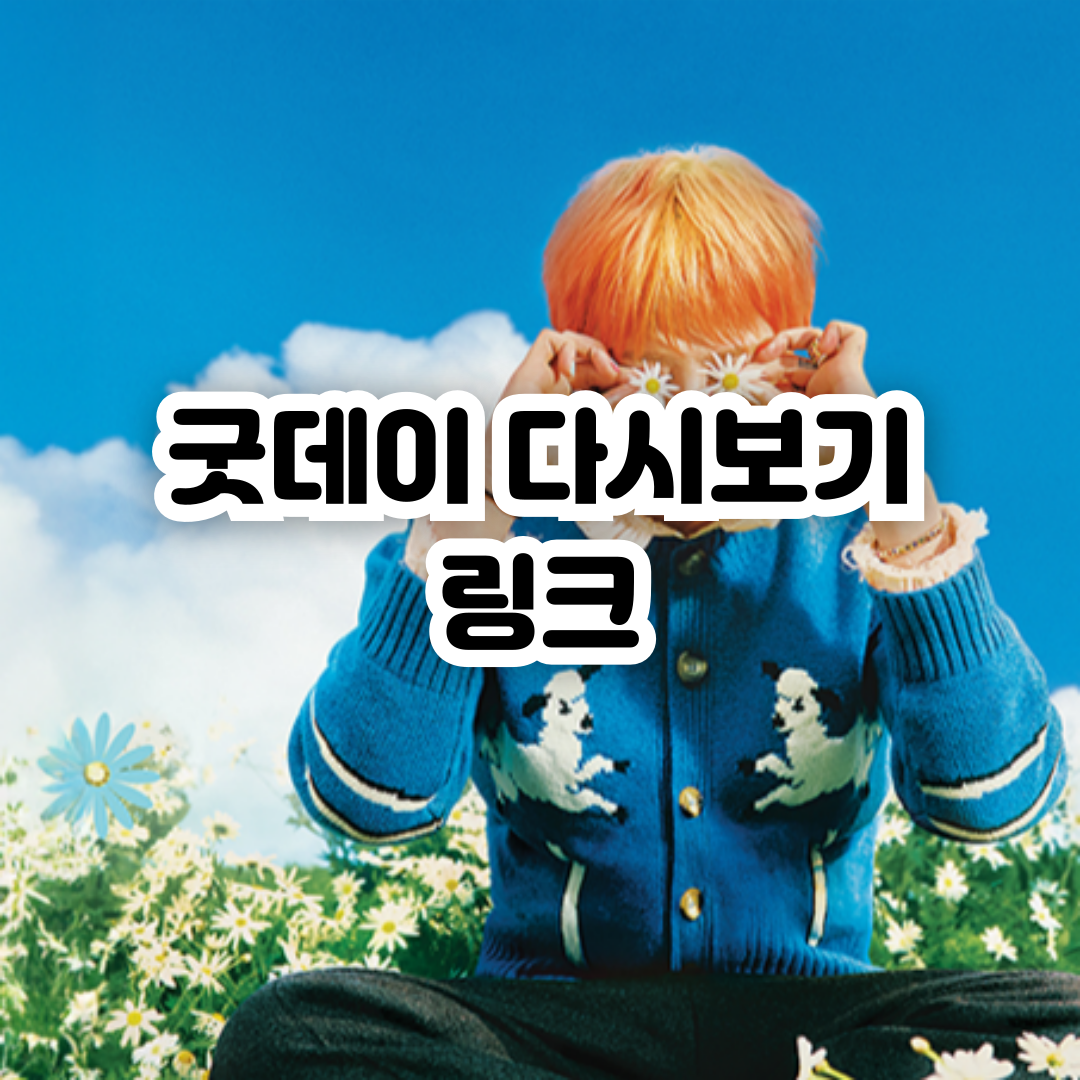 굿데이-다시보기-재방송