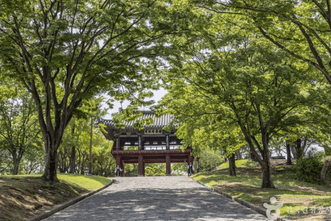 2025 추석 전국 축제일정- 진주남강유등축제