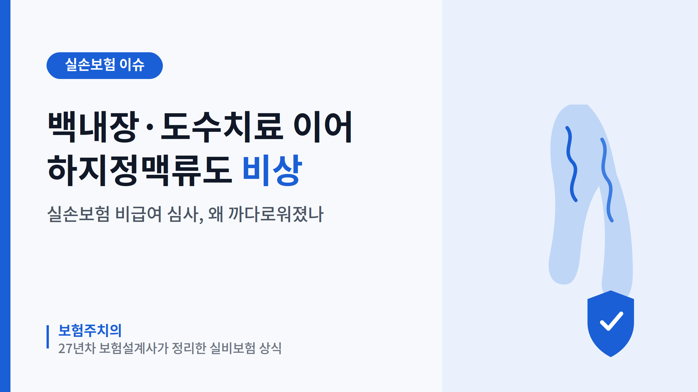 하지정맥류 실손보험 비급여 심사 강화 안내
