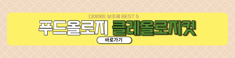 다이어트 보조제 성분비교 추천 BEST5