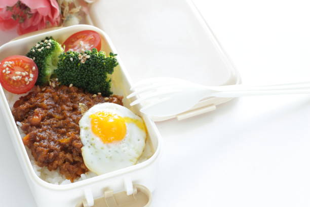 나들이 필수템 도시락통 추천