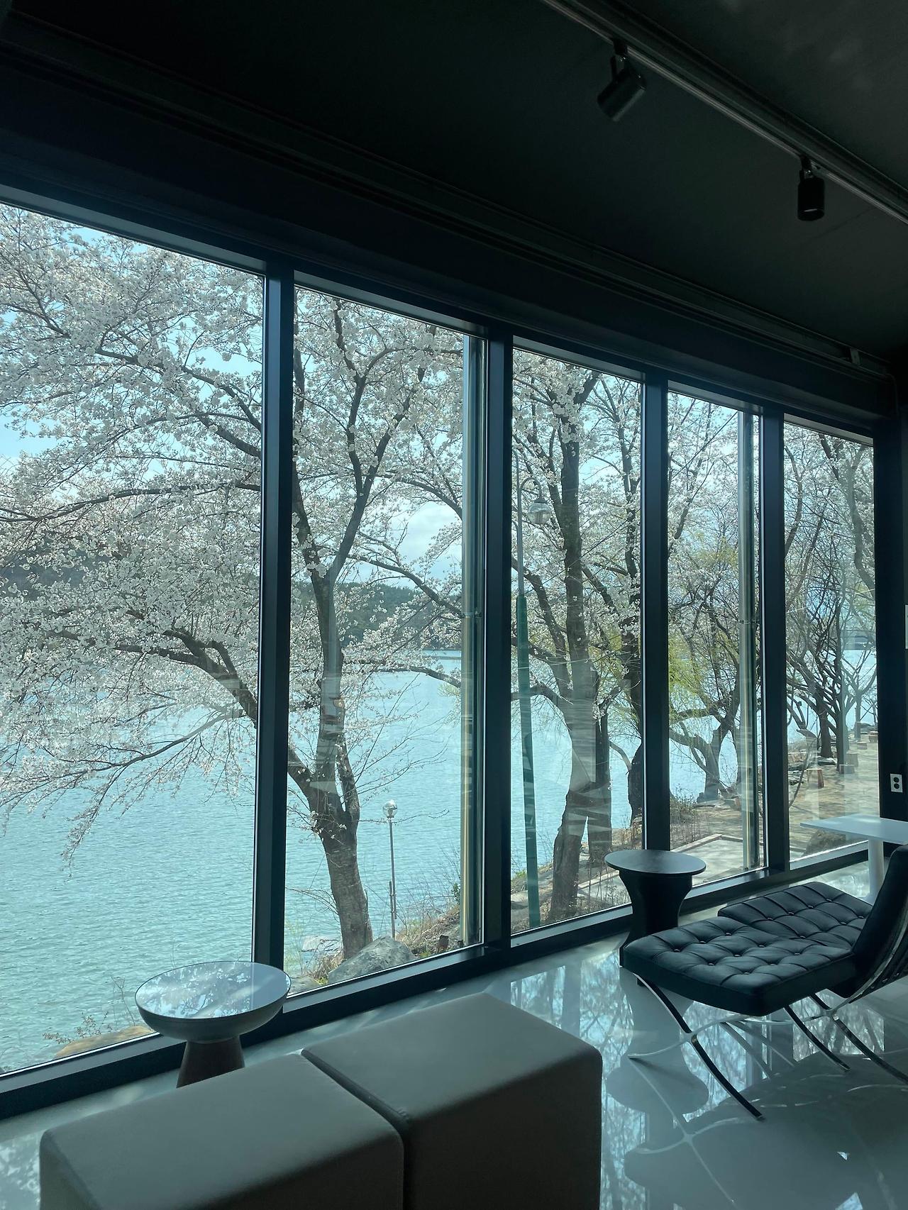 포항 신광 호리블리 카페