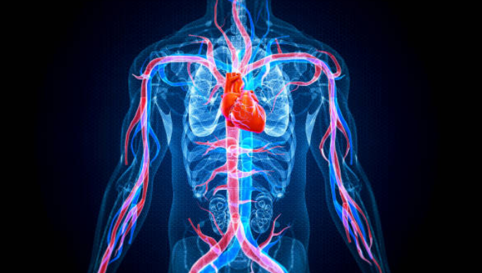 대동맥류의 원인과 증상, 진단, 치료와 예방 방법, 합병증