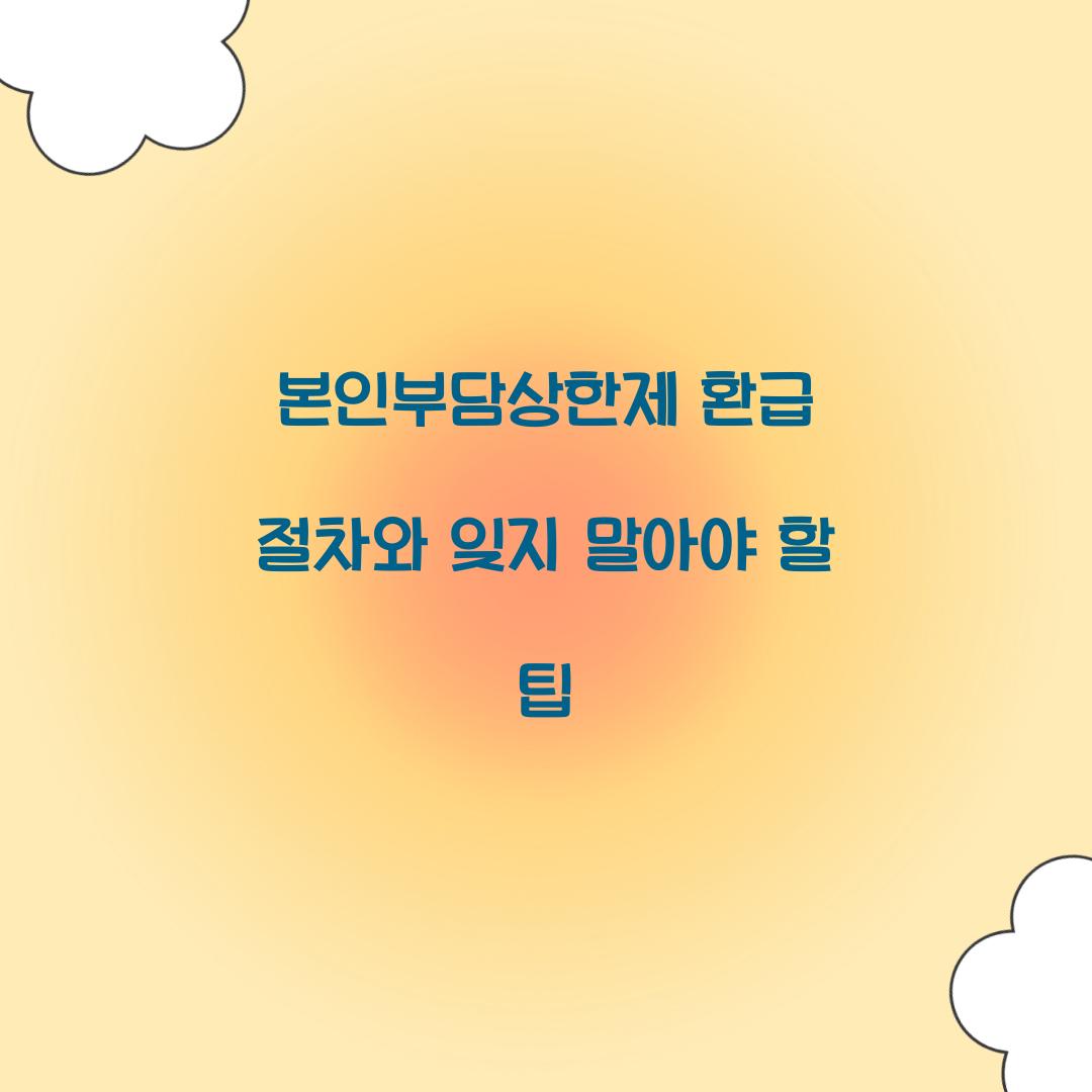 본인부담상한제 환급