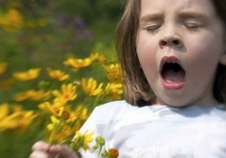 꽃가루 알레르기 증상 3가지