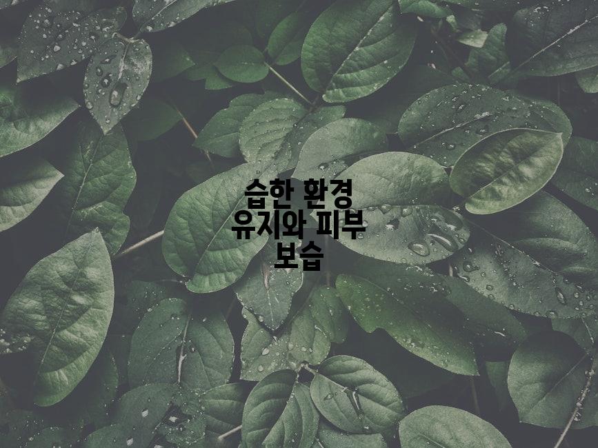 습한 환경 유지와 피부 보습