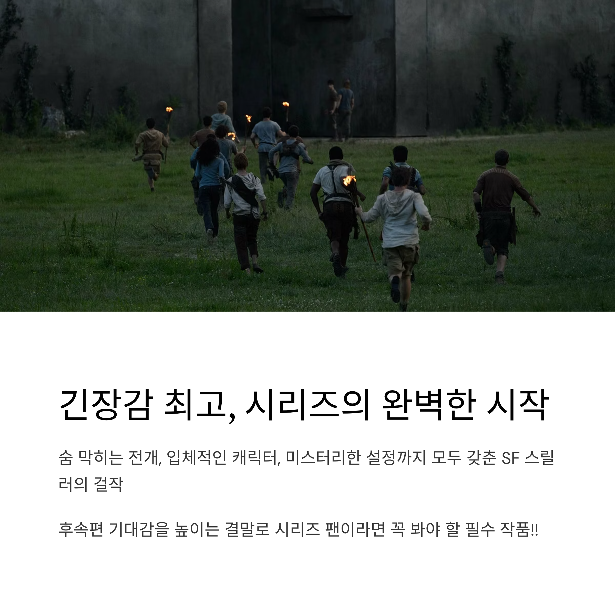 메이즈러너 영화 총평 관련 사진