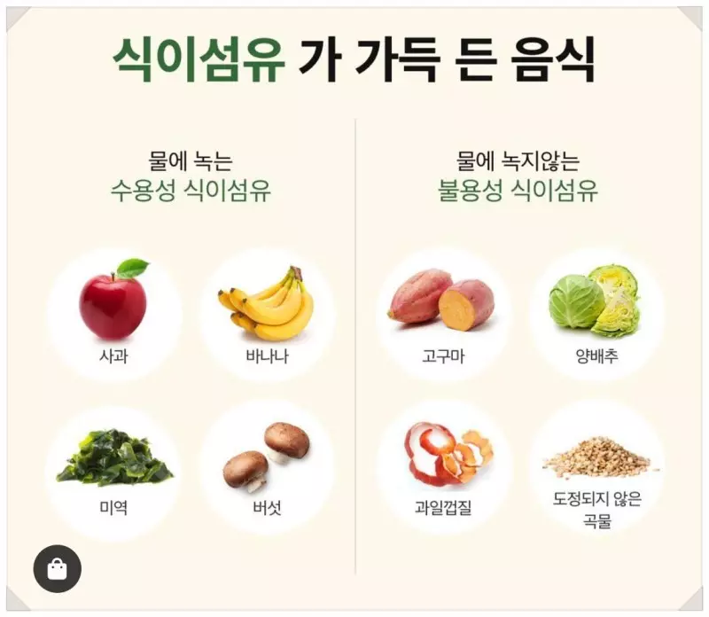 식이섬유