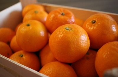 박스에 담긴 귤