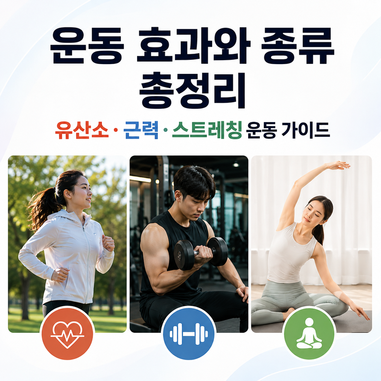 운동 효과와 종류