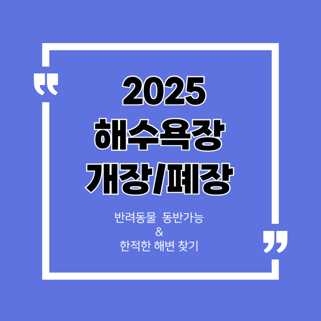 2025 전국 해수욕장 개. 폐장 일정 정리 (반려동물, 한적한 해변)
