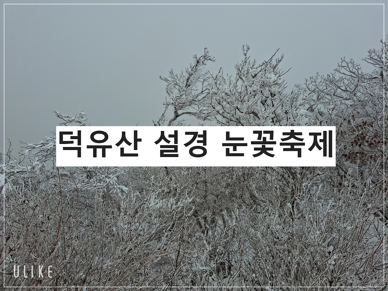덕유산 눈꽃 축제