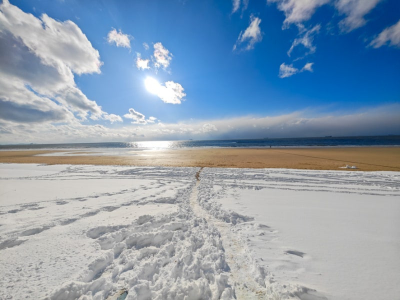 충남 겨울 명소 추천, 연말 분위기 가득한 빛·바다·성당 명소 4곳