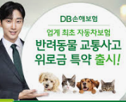 2025년 하반기 DB손해보험 채용 공고