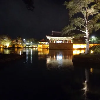 경주 야경 코스 대릉원 첨성대 걷기 지도 주차_14