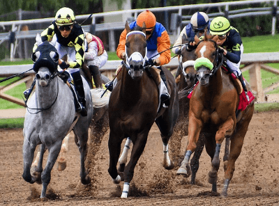 2024 렛츠런파크 서울 가을축제 밤마실 페스티벌
