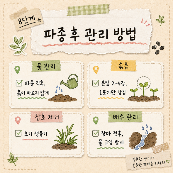 참깨 파종시기