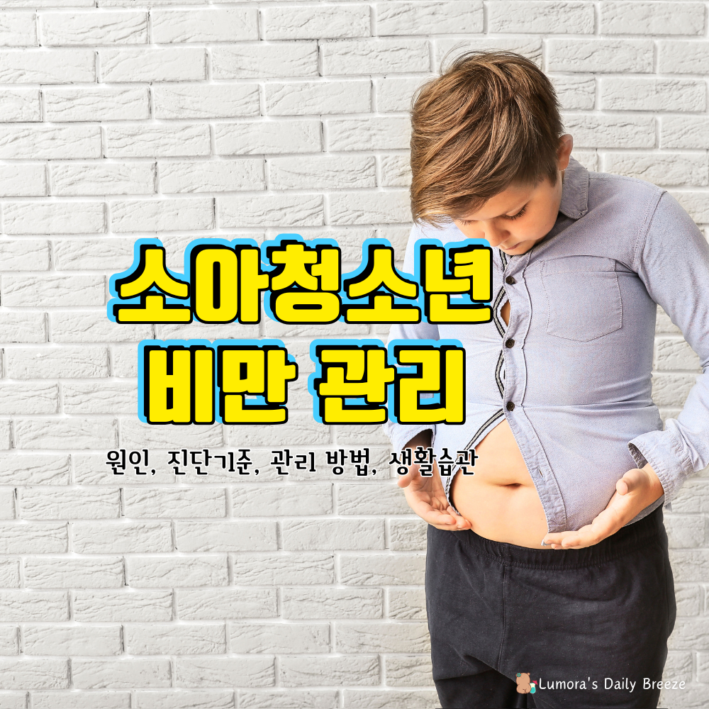 소아청소년 비만의 원인과 관리 방법 : 진단기준, 관리 방법, 생활습관, 국가기관에서 제공하는 성장측정계산기 링크제공등 정보공유