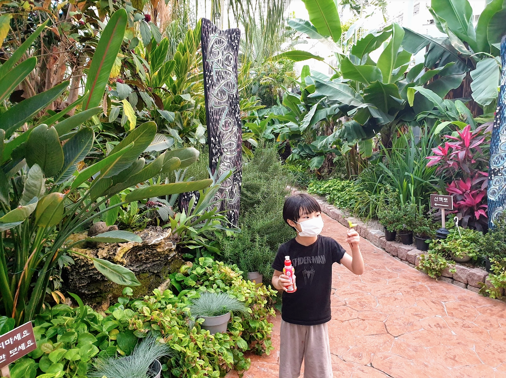 바오밥식물원베이커리카페 후기