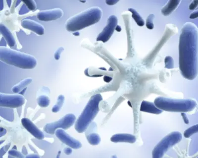 면역력을-높이는-방법-면역력에-좋은-음식-건강