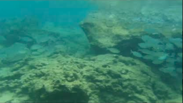 샥스코브 사진5