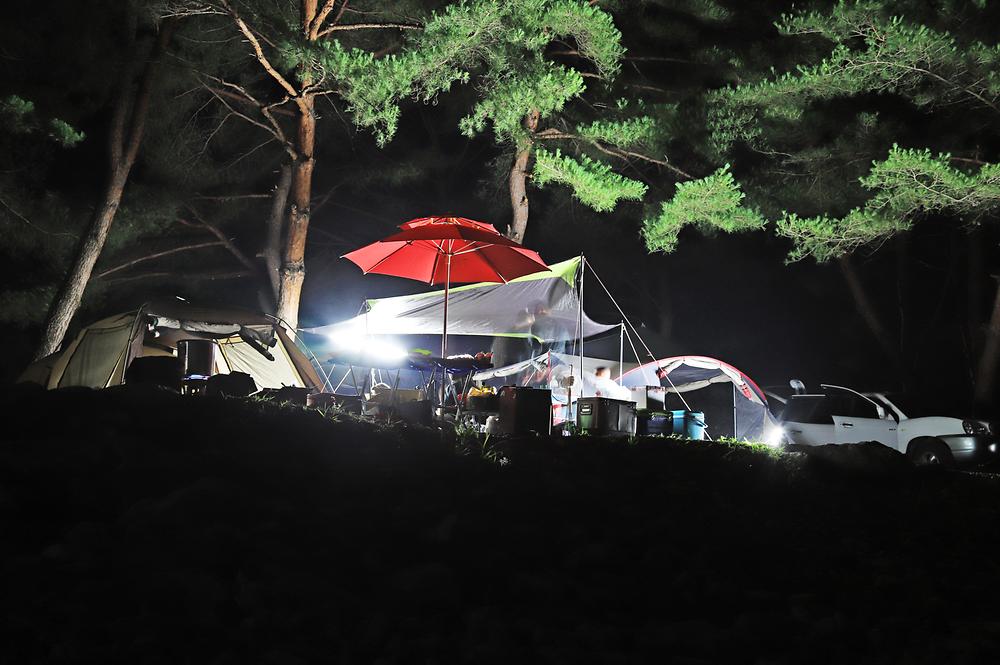 인생캠핑장, 영월 솔밭캠프장 소개