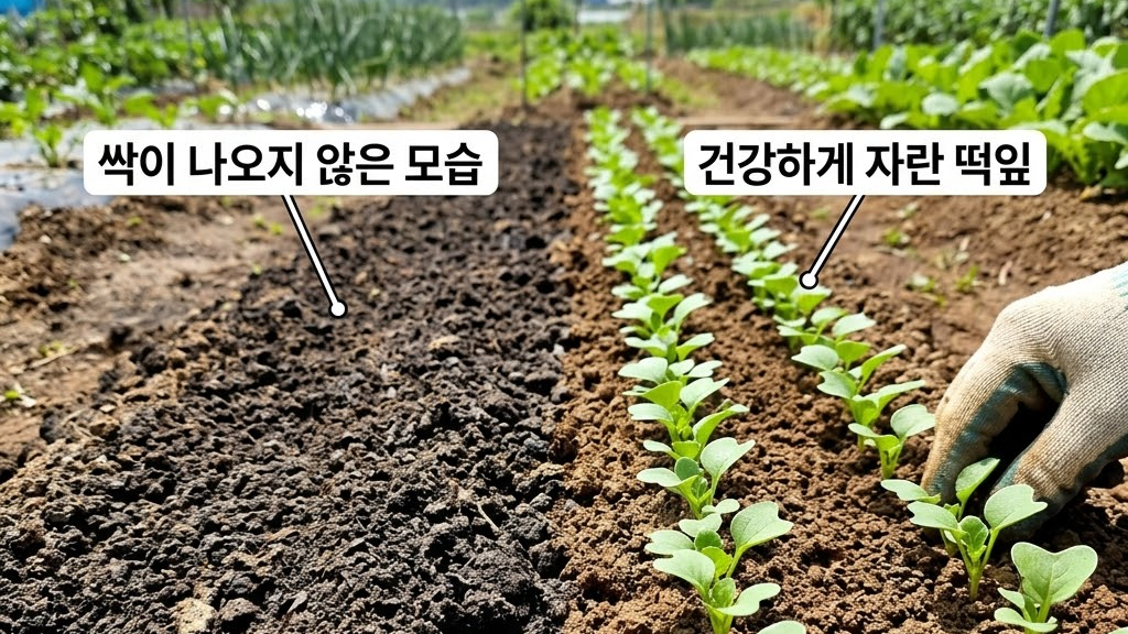 씨앗이 트지 않아 텅 빈 두둑과 푸른 떡잎이 고르게 올라온 두둑을 비교하는 현장 그림