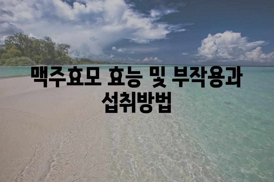 샘플 (2)