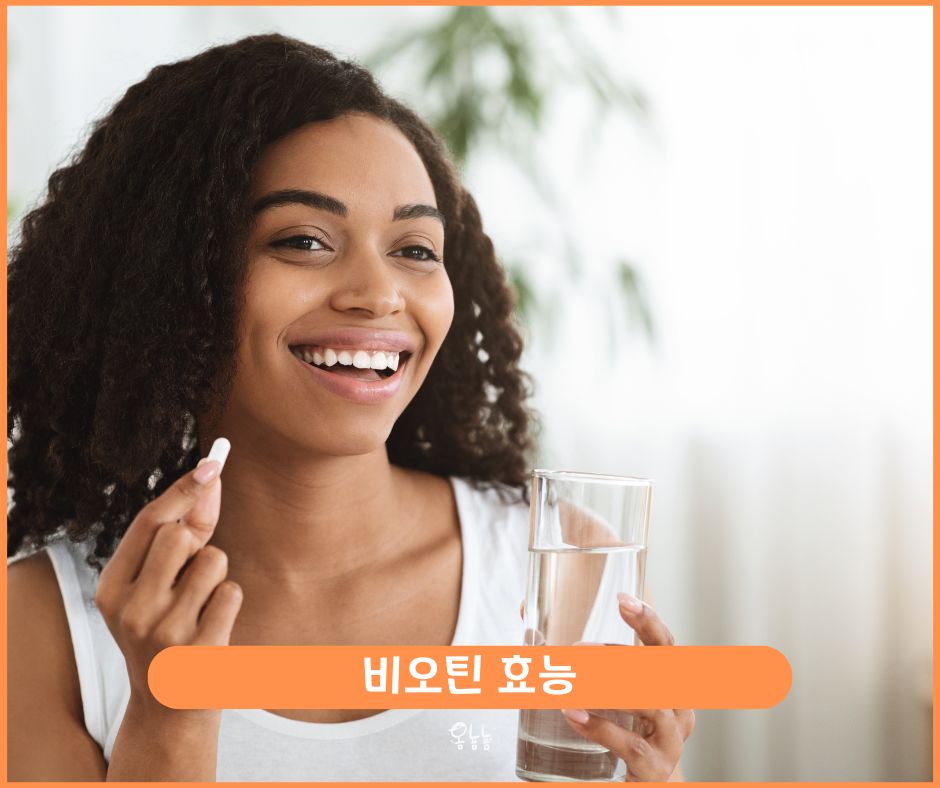 비오틴 효능