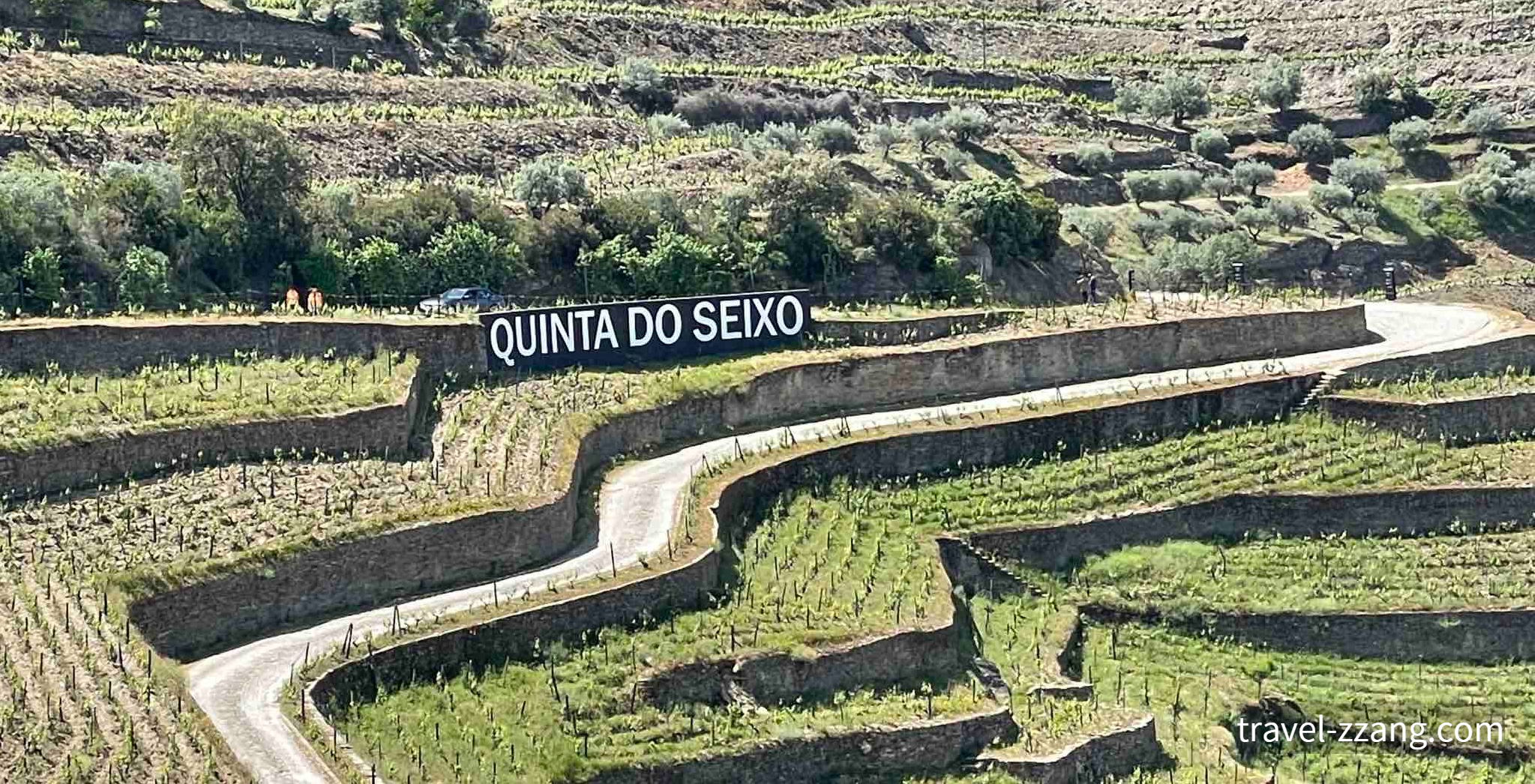 Quinta do Seixo 포도밭