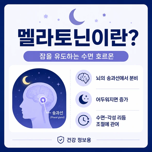 멜라토닌 효능