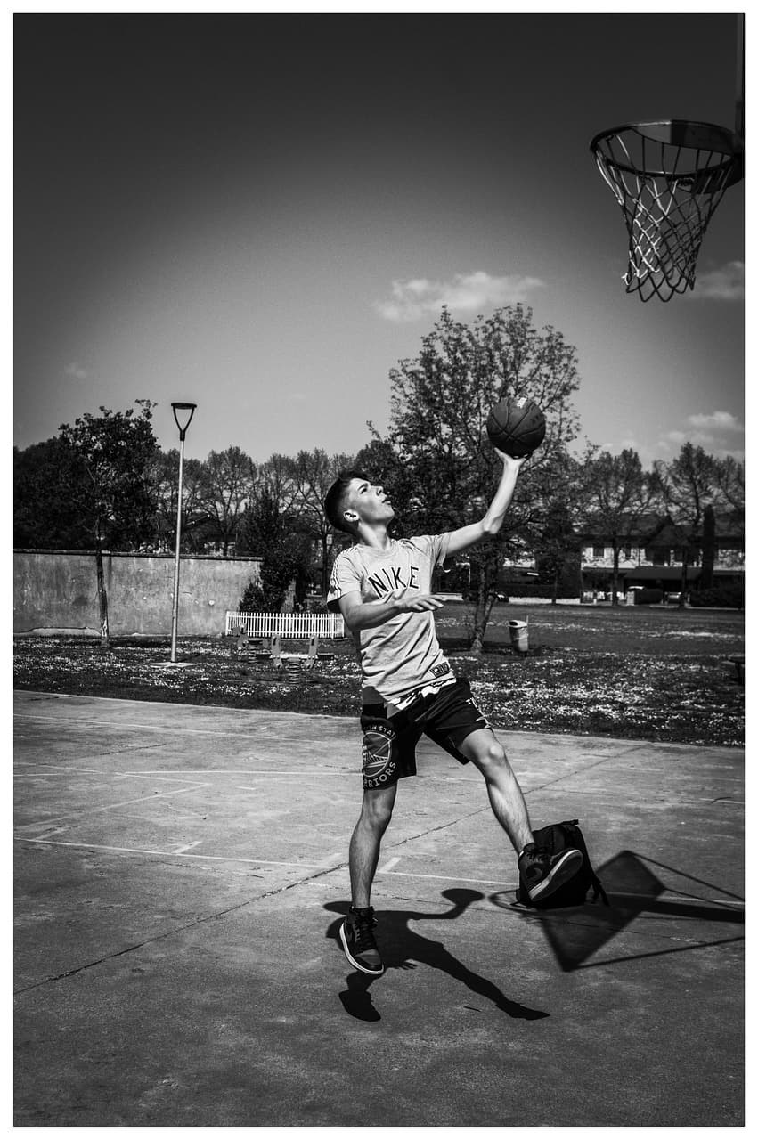 어깨의 생체역학