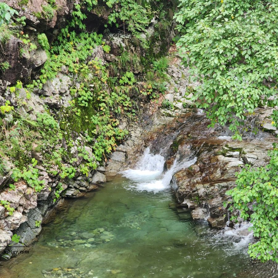지장산계곡