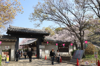 오사카 여행지 추천 오사카 성 니시노마루 정원