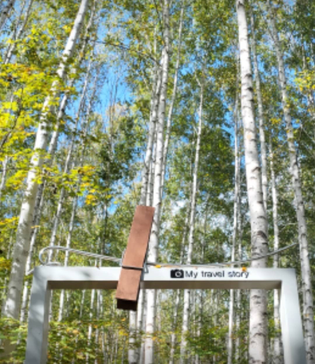 자작나무숲 입구